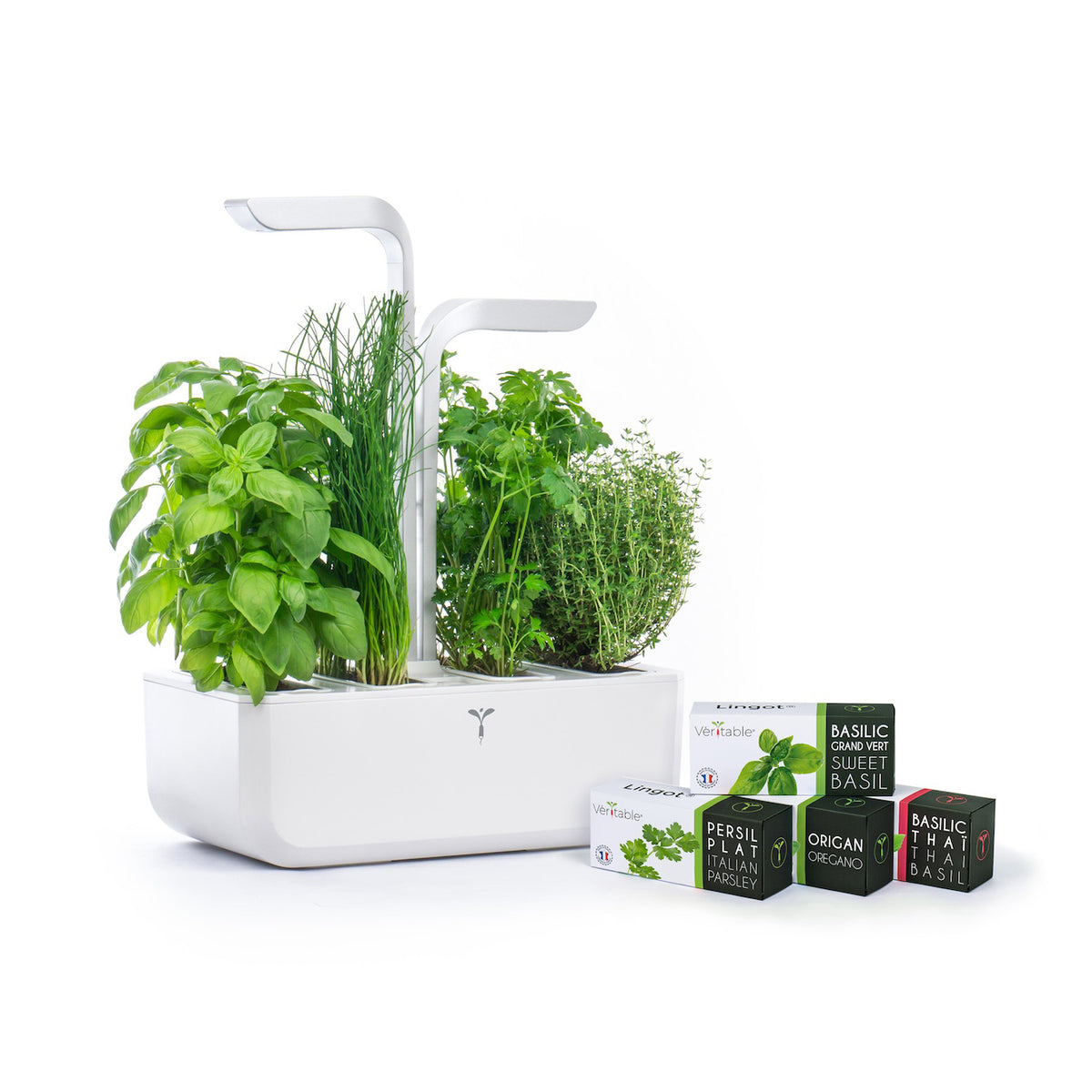 VERITABLE Exky Classic Edition White, 4 Plants