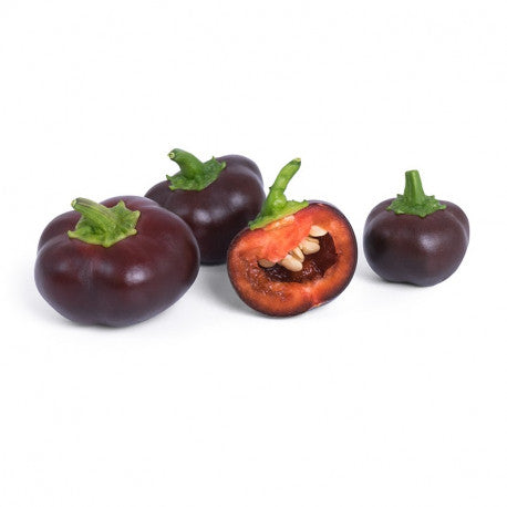 VERITABLE Lingot, Organic Mini Chocolate Bell Pepper