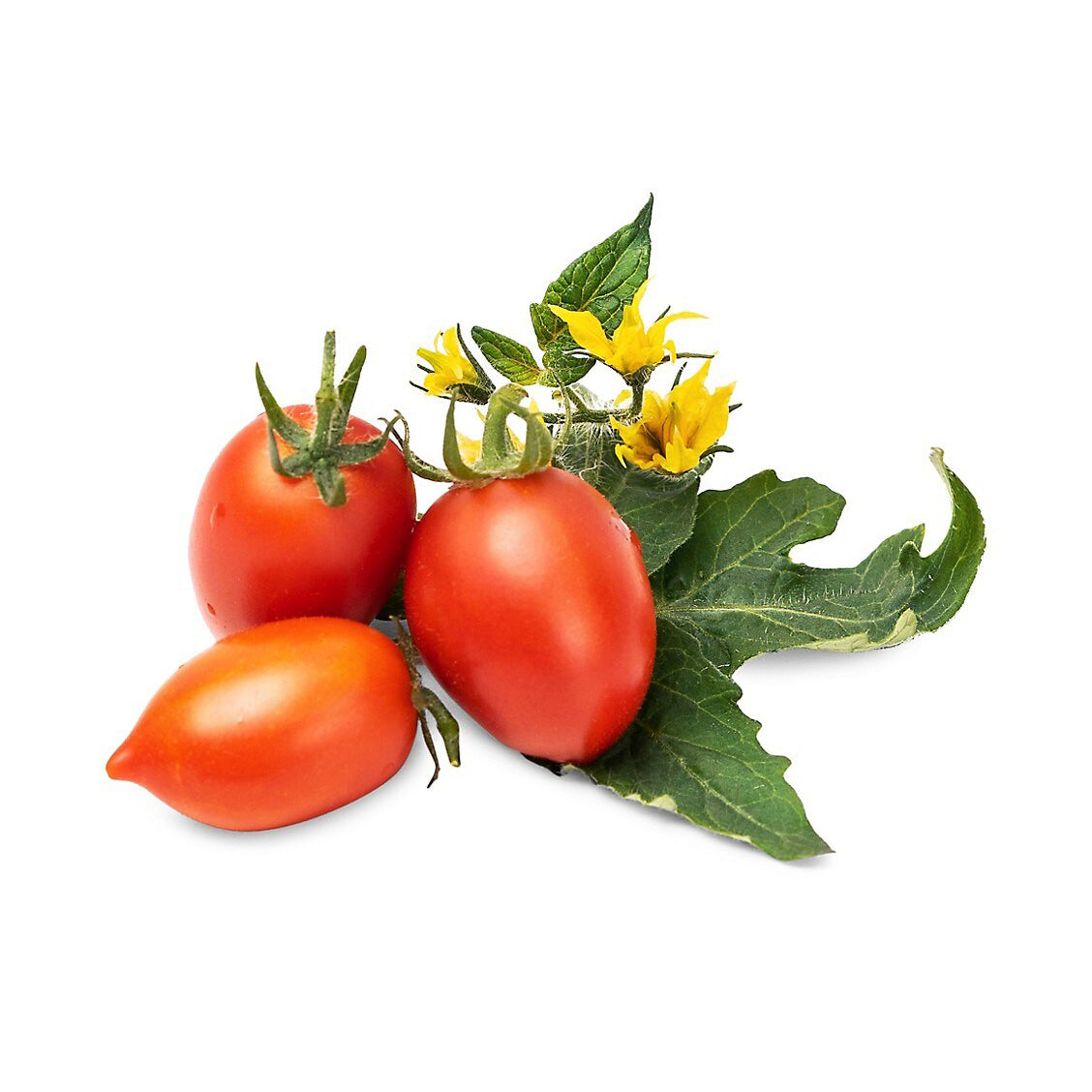 VERITABLE Lingot, Mini Red Cherry Tomato