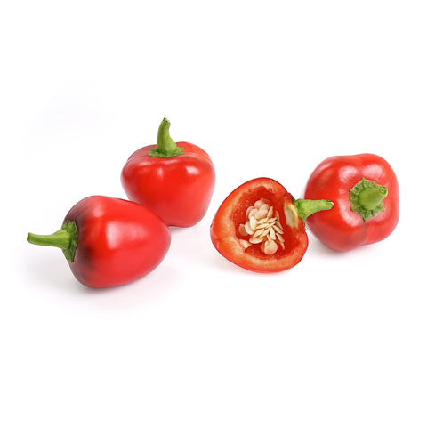 VERITABLE Lingot, Organic Mini Red Bell Pepper