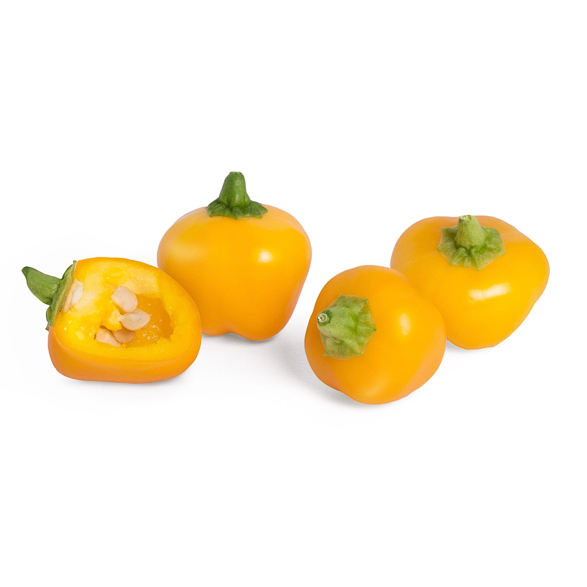 VERITABLE Lingot, Organic Mini Yellow Bell Pepper