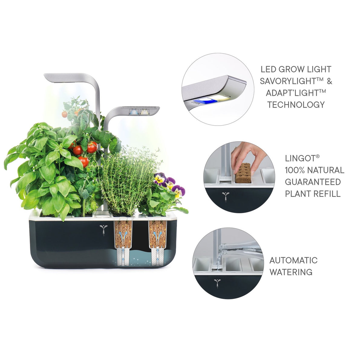 VERITABLE Smart Edition Black, 4 Plants