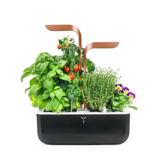 VERITABLE Smart Edition Copper, 4 Plants