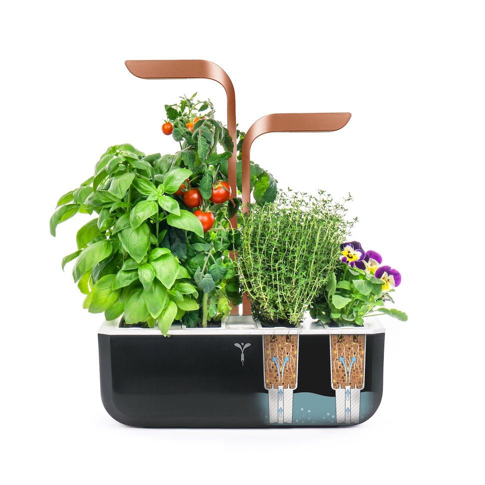 4 plants indoor gardening supply VERITABLE Smart Edition Copper, 4 Plants – Gusta Supplies