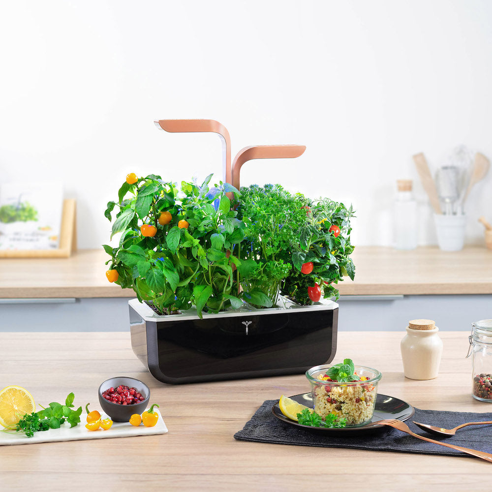 VERITABLE Smart Edition Copper, 4 Plants
