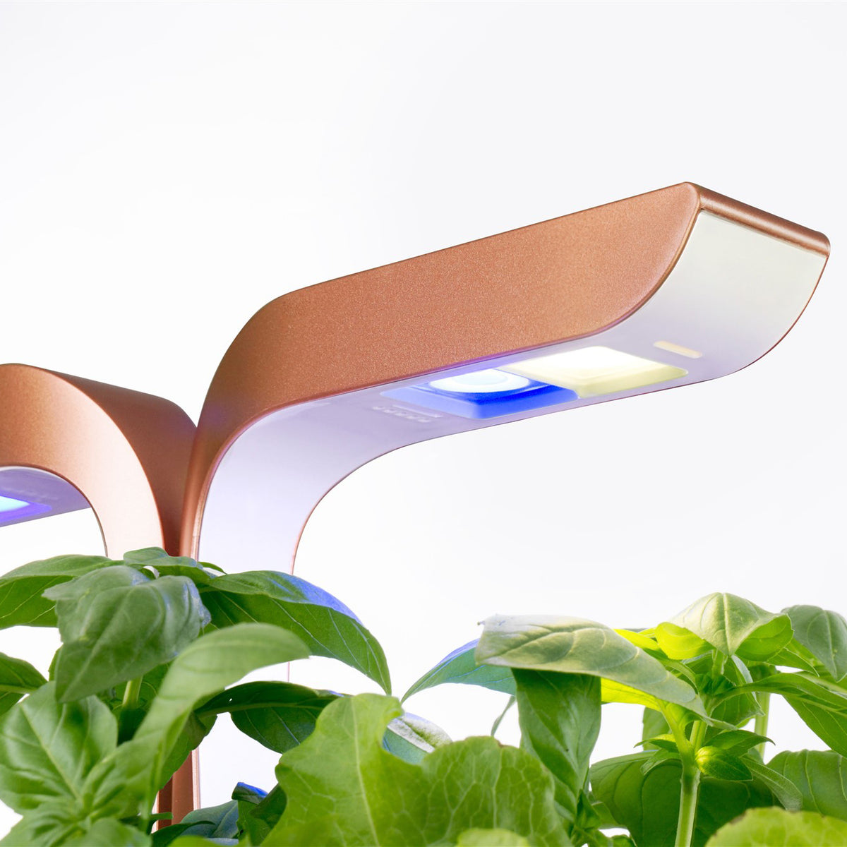 VERITABLE Smart Edition Copper, 4 Plants