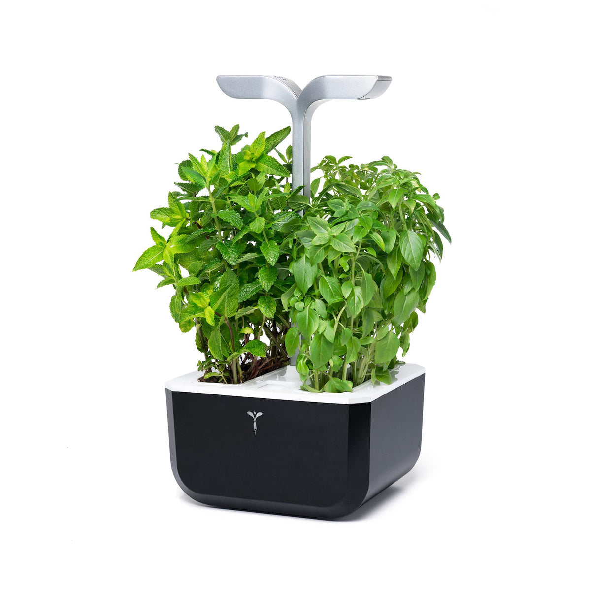 VERITABLE Smart Exky Edition Black, 2 Plants