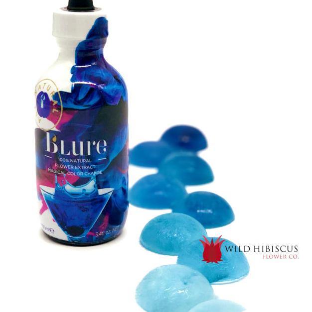 WILD HIBISCUS B'lure Butterfly Pea Flower Extract, 100ml