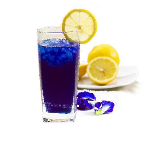 WILD HIBISCUS B'lure Butterfly Pea Flower Extract, 100ml