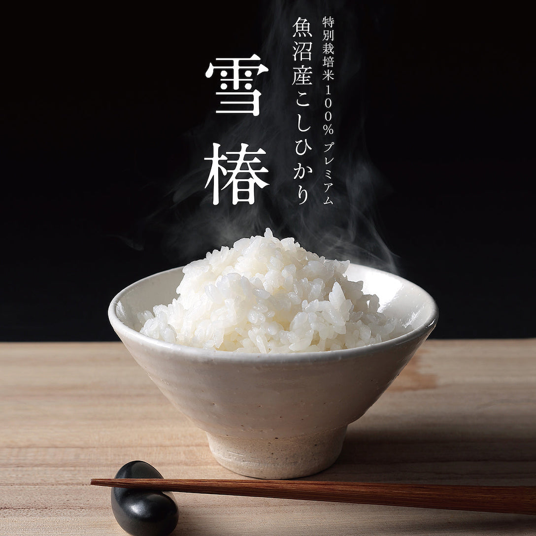 YUKI TSUBAKI Koshi Hikari, Rare Premium Japanese White Rice, 5kg