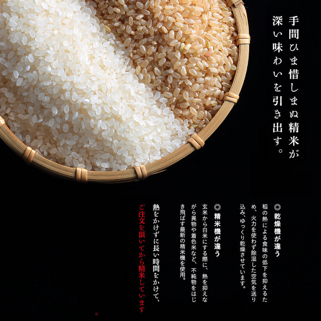 YUKI TSUBAKI Koshi Hikari, Rare Premium Japanese White Rice, 5kg
